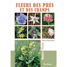 LIVRE - FLEURS DES PRES ET DES CHAMPS