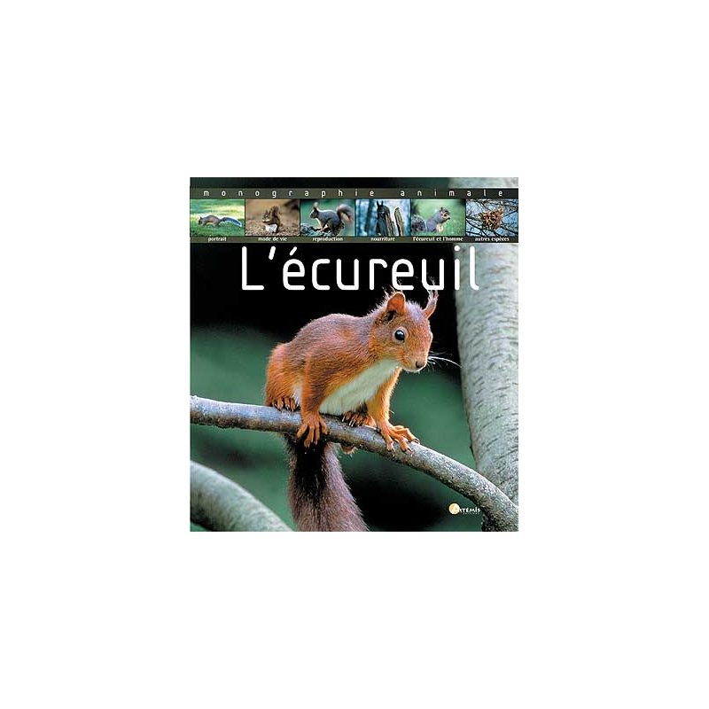 La photo du ver solitaire chez la personne