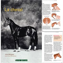 LIVRE - LE CHEVAL. CONNAITRE L'ESSENTIEL
