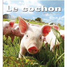 LIVRE - LE COCHON