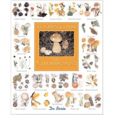 LIVRE - LE GRAND LIVRE DES CHAMPIGNONS DE NOS REGIONS