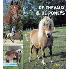 LIVRE - LES RACES DE CHEVAUX ET PONEYS