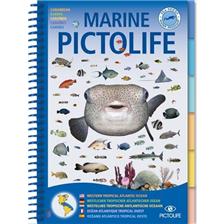 LIVRE - MARINE PICTOLIFE CARAIBES