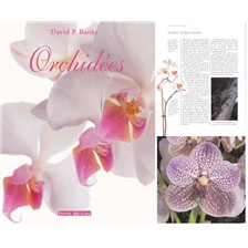 LIVRE - ORCHIDEES