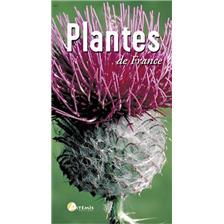 LIVRE - PLANTES DE FRANCE