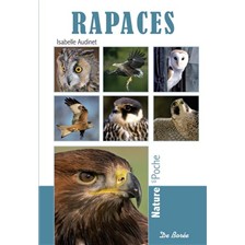 LIVRE - RAPACES