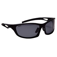 LUNETTES  POLARISANTES DAIWA DVPSG9