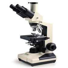 MICROSCOPE 1600X PARALUX L1200 TRINO SP