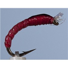 MOUCHE JMC CHIRO 12 - LOT DE 6