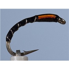MOUCHE JMC CHIRO 8 - LOT DE 6