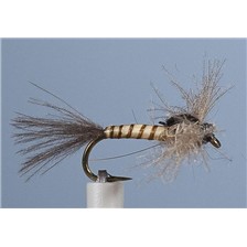 MOUCHE JMC EMERGENTE BM 10 - LOT DE 6
