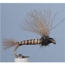 MOUCHE JMC EMERGENTE BM 6 - LOT DE 6