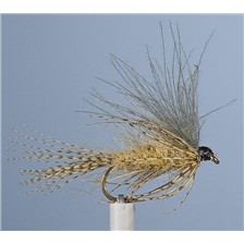 MOUCHE JMC EMERGENTE MAI 6 - LOT DE 6