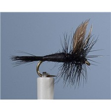 MOUCHE JMC EPHEMERE 70 - LOT DE 6