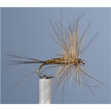 MOUCHE JMC EPHEMERE ELI 1 - LOT DE 6