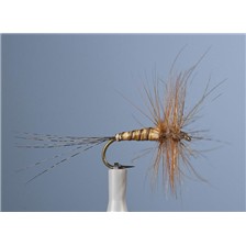 MOUCHE JMC EPHEMERE ELI 18 - LOT DE 6
