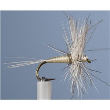 MOUCHE JMC EPHEMERE ELI 26 - LOT DE 6