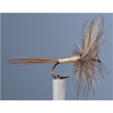MOUCHE JMC EPHEMERE ELI 28 - LOT DE 6