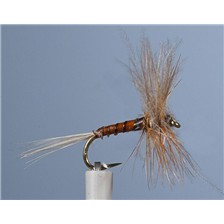MOUCHE JMC EPHEMERE ELI 3 - LOT DE 6