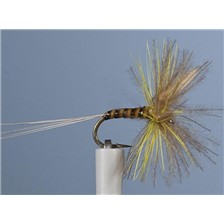 MOUCHE JMC EPHEMERE ELI 5 - LOT DE 6