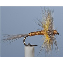 MOUCHE JMC EPHEMERE JMC601 - LOT DE 6