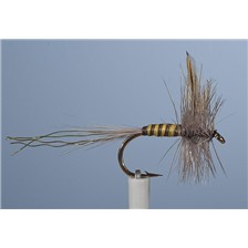 MOUCHE JMC EPHEMERE MAI 3 - LOT DE 6