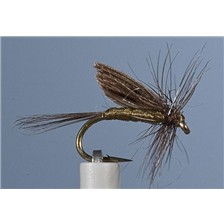 MOUCHE JMC EPHEMERE ORNAN 2 - LOT DE 6