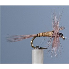 MOUCHE JMC EPHEMERE SP 5 - LOT DE 6