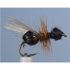MOUCHE JMC FOURMI 40 - LOT DE 6