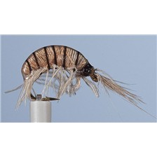 MOUCHE JMC NYMPHE JCC 120 - LOT DE 6