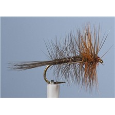 MOUCHE JMC PALMER 1 - LOT DE 6