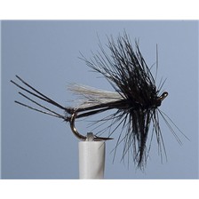 MOUCHE JMC ST MARC 1 - LOT DE 6