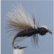 MOUCHE JMC TERRESTRE 18 - LOT DE 6