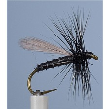 MOUCHE JMC TERRESTRE PH 14 - LOT DE 6