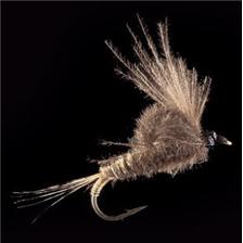 MOUCHE MARC PETITJEAN MAYFLIES MP44 LOT DE 5