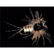 MOUCHE MARC PETITJEAN MAYFLIES MP96 LOT DE 5