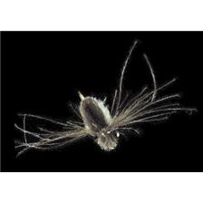 MOUCHE MARC PETITJEAN SHRIMPS & BUGS MP97 LOT DE 5