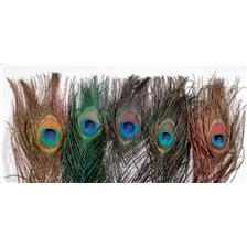 OEIL DE PAON JMC NATUREL TEINT
