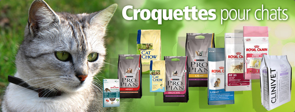 Croquettes Chats