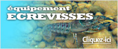 Ecrevisses