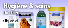 hygiène et soins chien