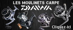 Moulinets Carpe DAIWA