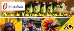 Nouveautés Microbait