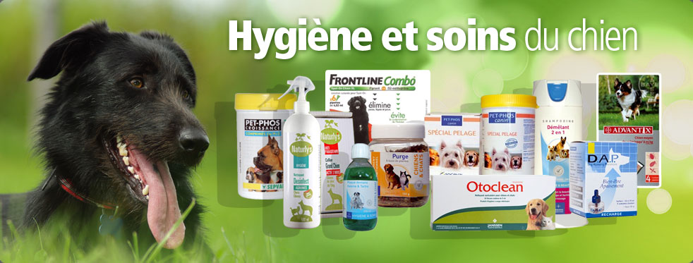 Hygiene et soins du chien