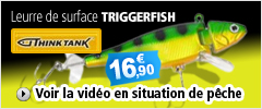 Leurre de surface Triggerfish