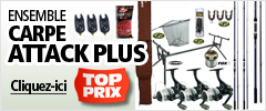 Ensemble Carp Attack Plus