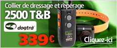 Combiné dressage et repérage 2500 T&B DOGTRA