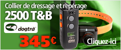 Combiné dressage et repérage 2500 T&B DOGTRA