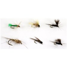 PACK 6 MOUCHES GUY PLAS EMERGENTE CDC