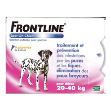 PIPETTE INSECTICIDE CHIEN FRONTLINE SPOT L